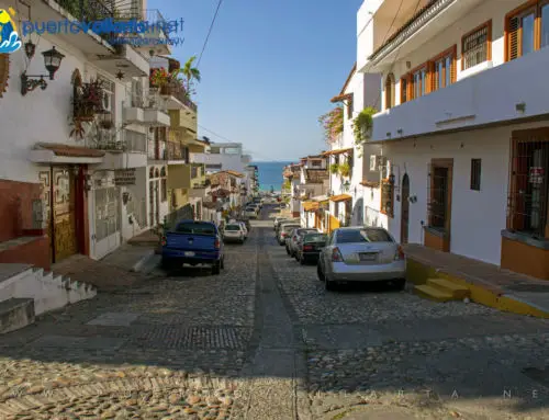 Comercio, dinero e impuestos en Puerto Vallarta