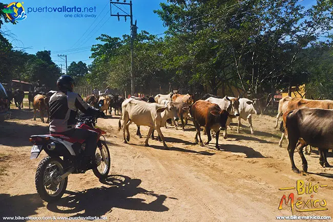 Motorcycle Tours in Puerto Vallarta