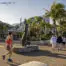 Los 10 Mejores Paseos en Puerto Vallarta