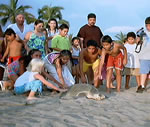 Puerto Vallarta Sea Turtle Protection & Conservation Program