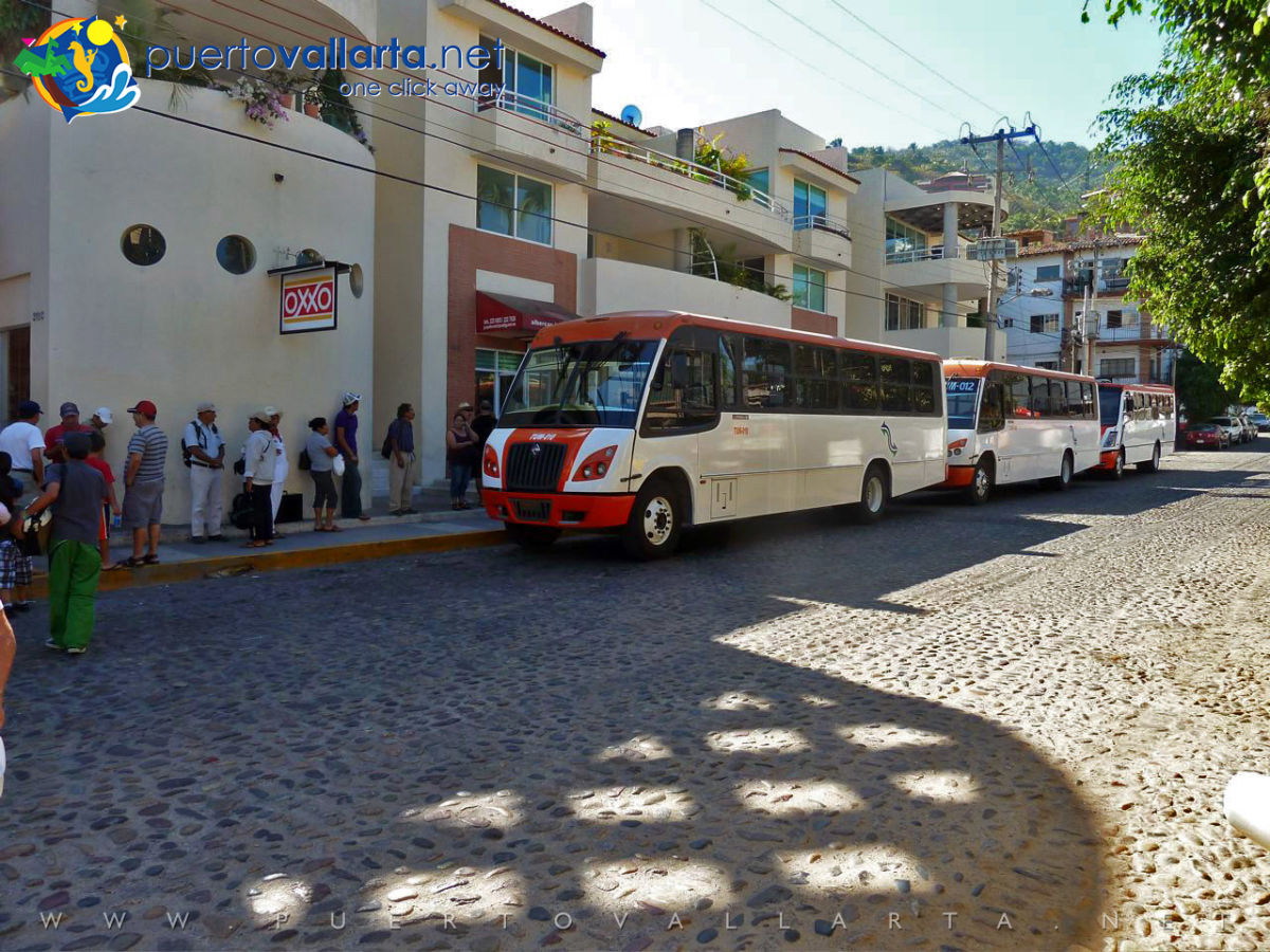 Bus to Puerto Vallarta Zoo and Mismaloya