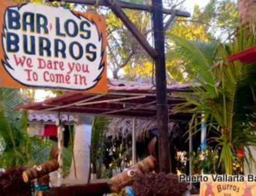 Burro’s Bar and Restaurant