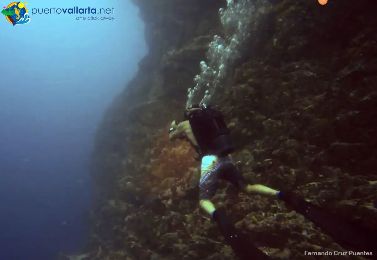 Scuba diving at El Morro Nayarit