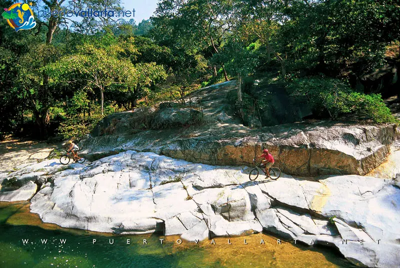 Mountain biking in the jungle