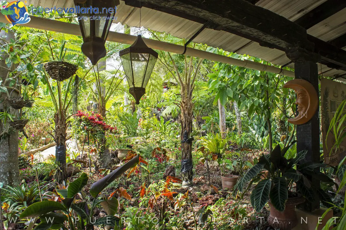 puerto vallarta botanical garden tours