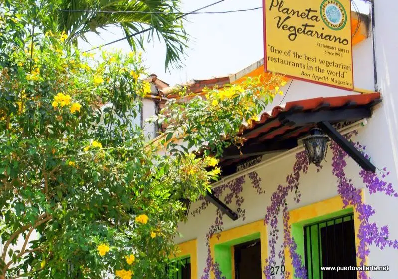 Top Places to Eat in Puerto Vallarta (with VEGAN Options!)