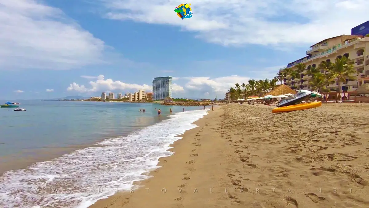 playa de oro zona hotelera puerto vallarta