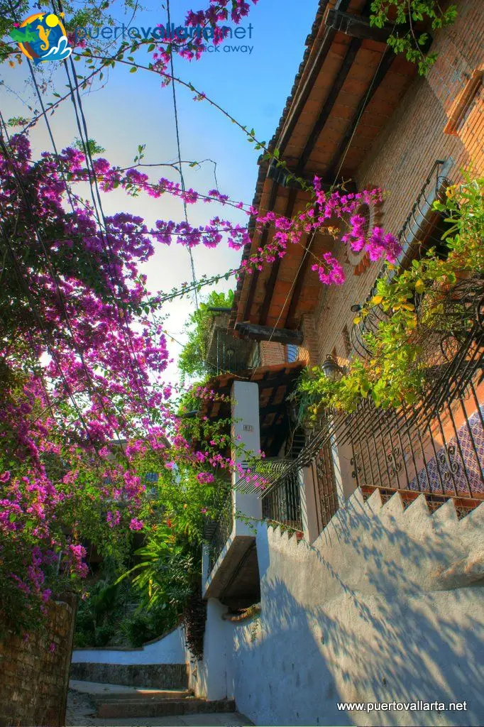 Calles de los cerros de Vallarta