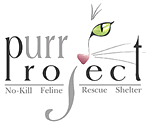 Purr Project (No Kill Cat Shelter/Adoption)