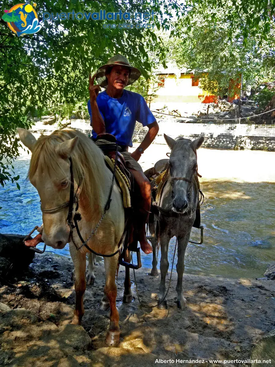 Horses for rent in Quimixto, waterfall tour