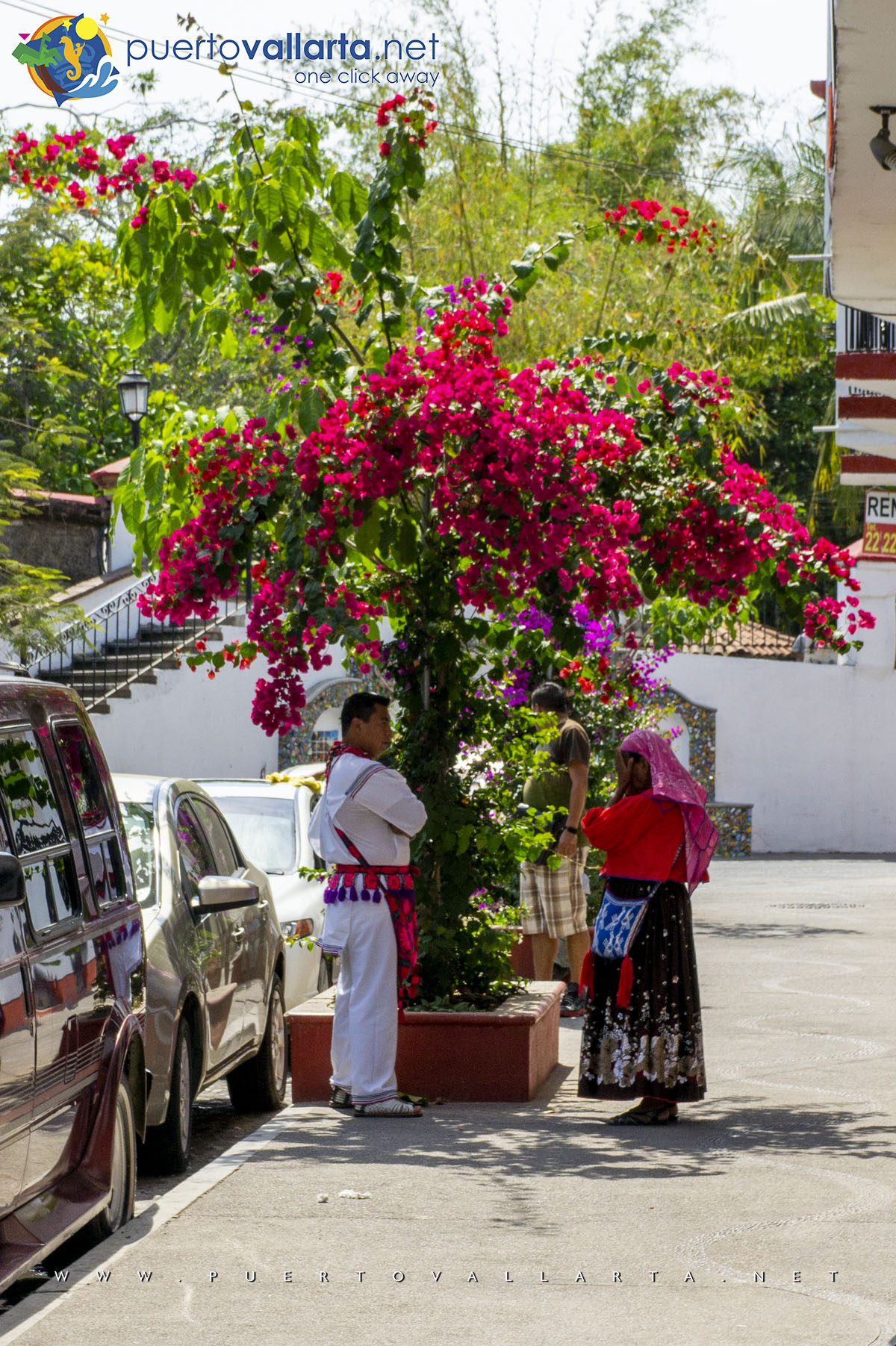 Wixárica in Puerto Vallarta