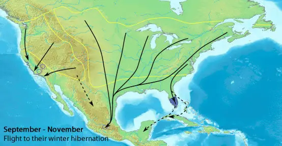 Migración de otoño hacia México