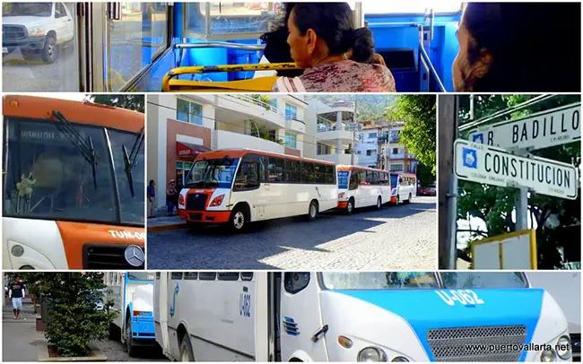 Local buses in Vallarta