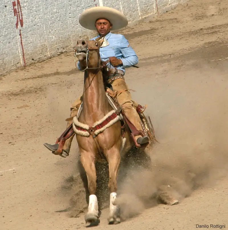 Mexican Charro