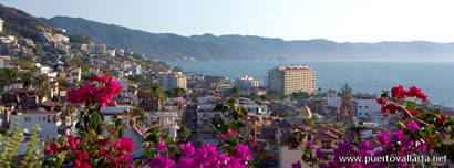 Vallarta from the hill