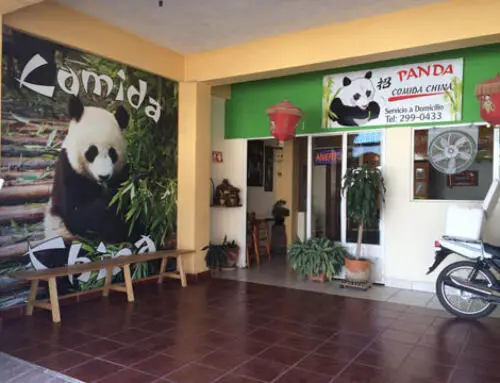 Panda Comida China