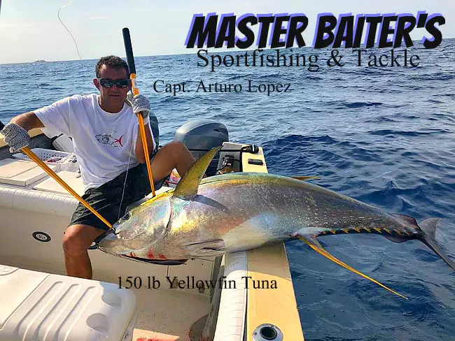 150 lb yellowfin tuna Puerto Vallarta