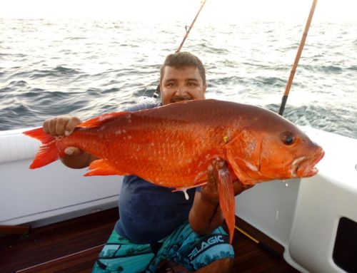 Puerto Vallarta Fishing Report Aug 16, 2018