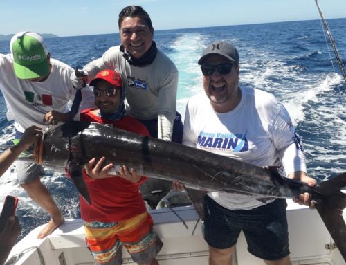 Puerto Vallarta Fishing Report September 01, 2018