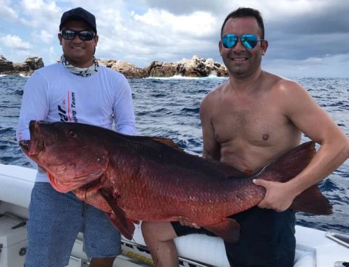 Puerto Vallarta Fishing Report September 30, 2018