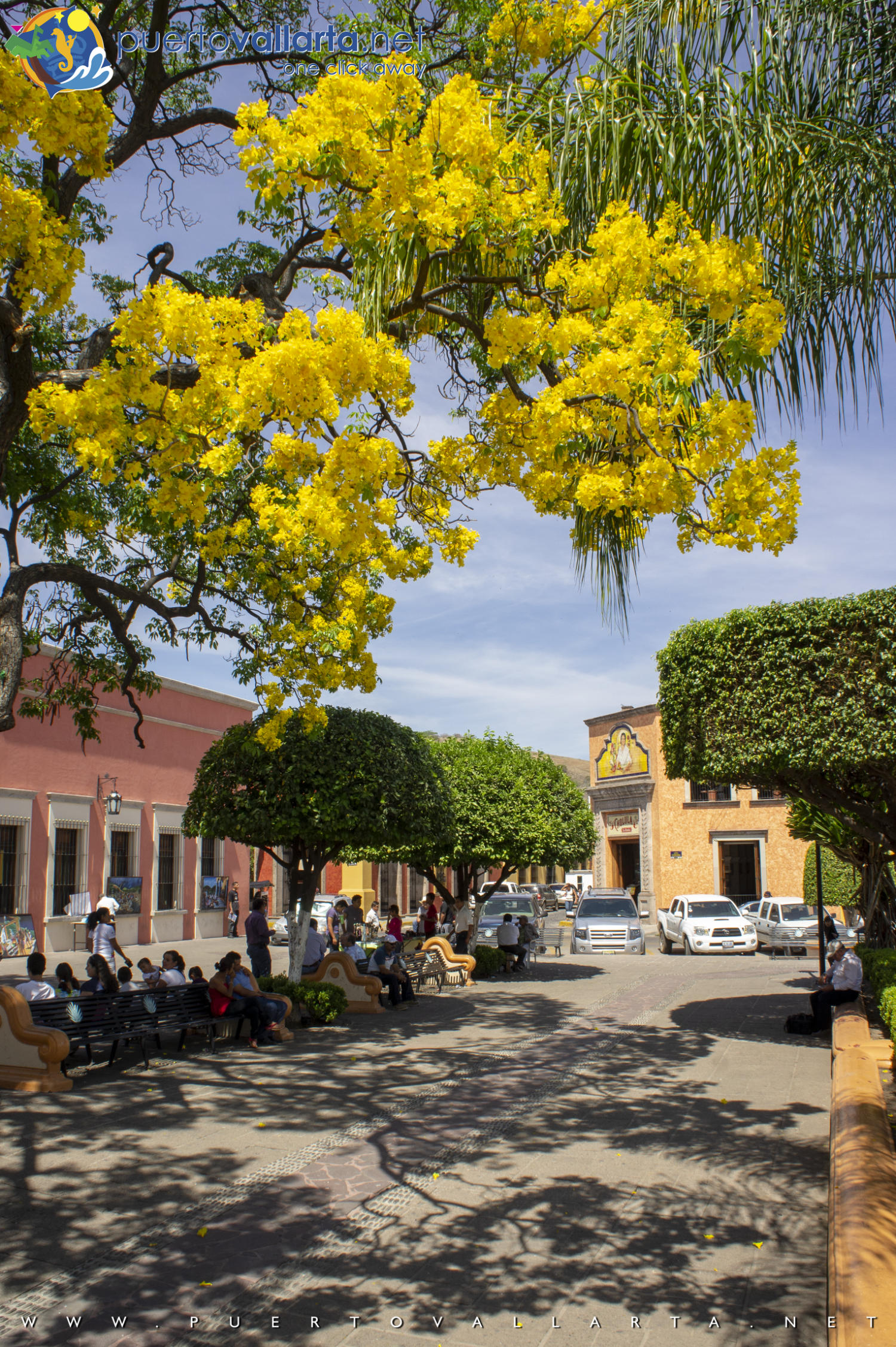 Main Square of Tequila
