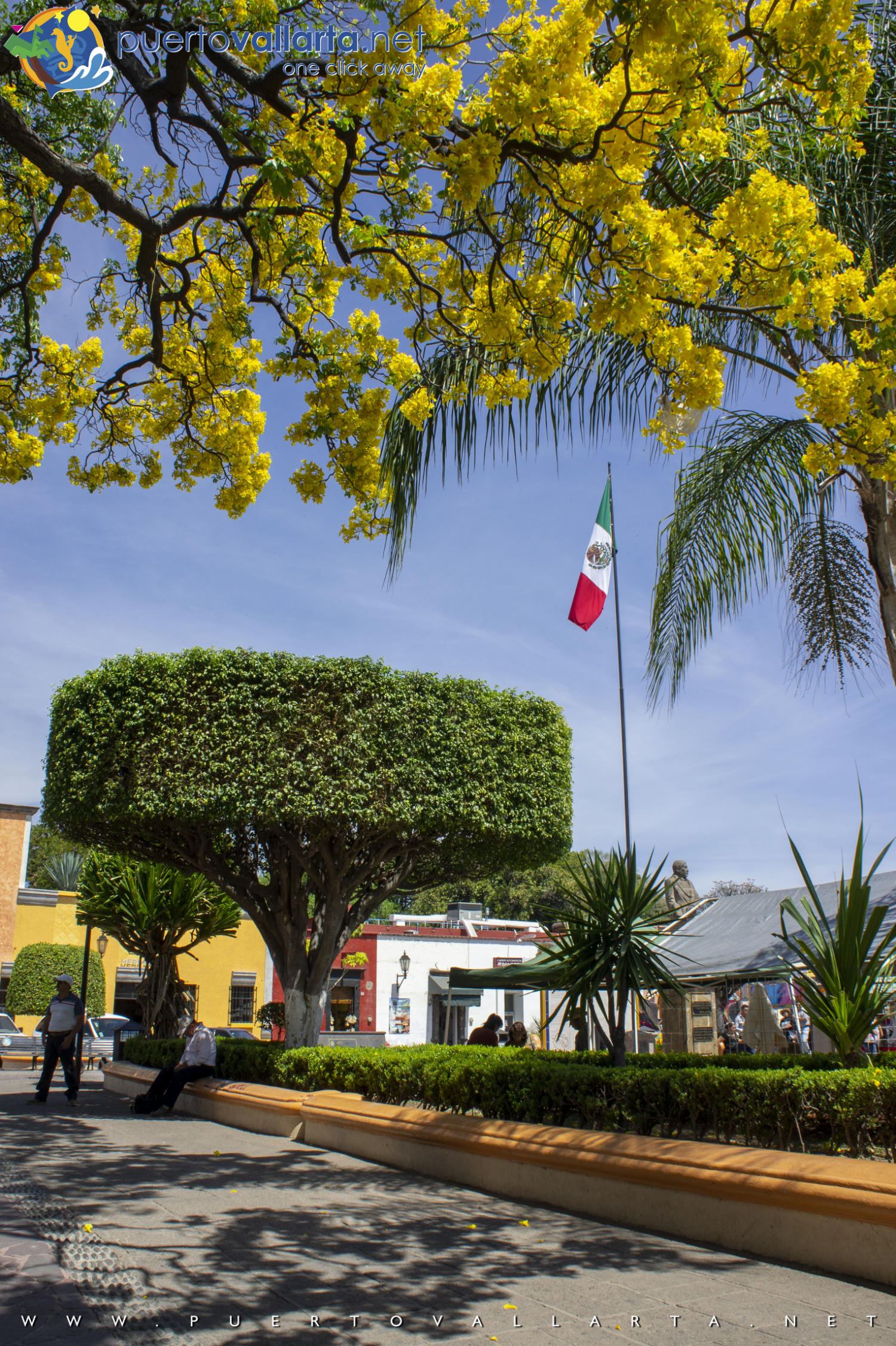 Main Square of Tequila