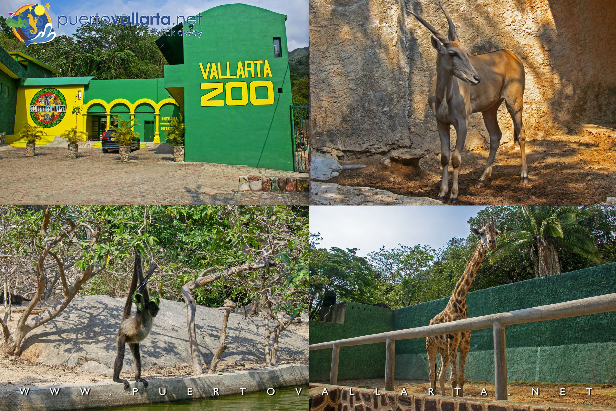 Zoológico de Vallarta, Mismaloya, Puerto Vallarta