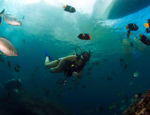 Snorkel or scuba dive at Los Arcos or The Marietas