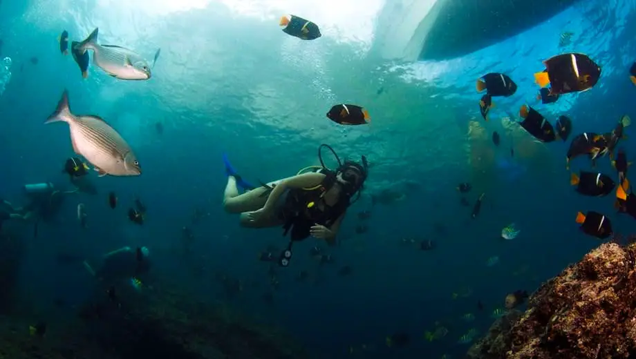 Buceo en las Islas Marietas