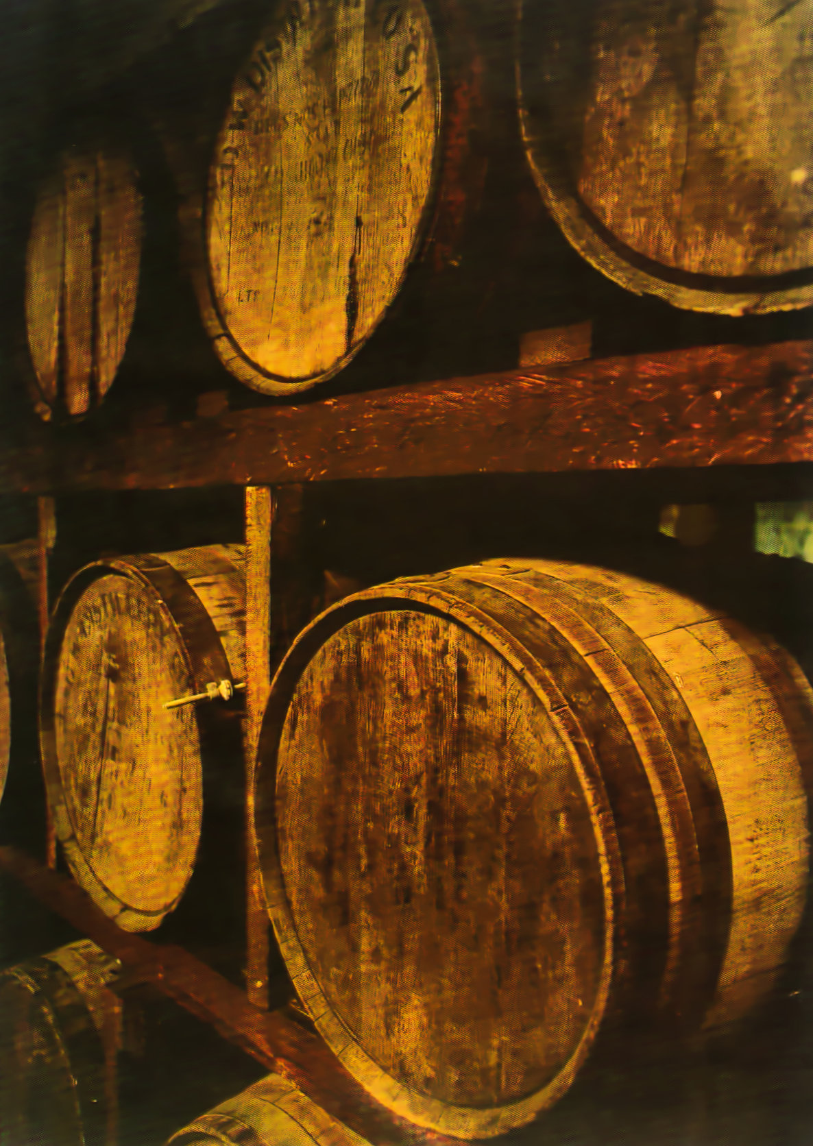 Mezcal barrels
