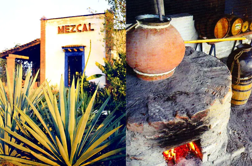 Mexican Mezcal Liquor