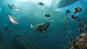 Scuba diving Las Marietas