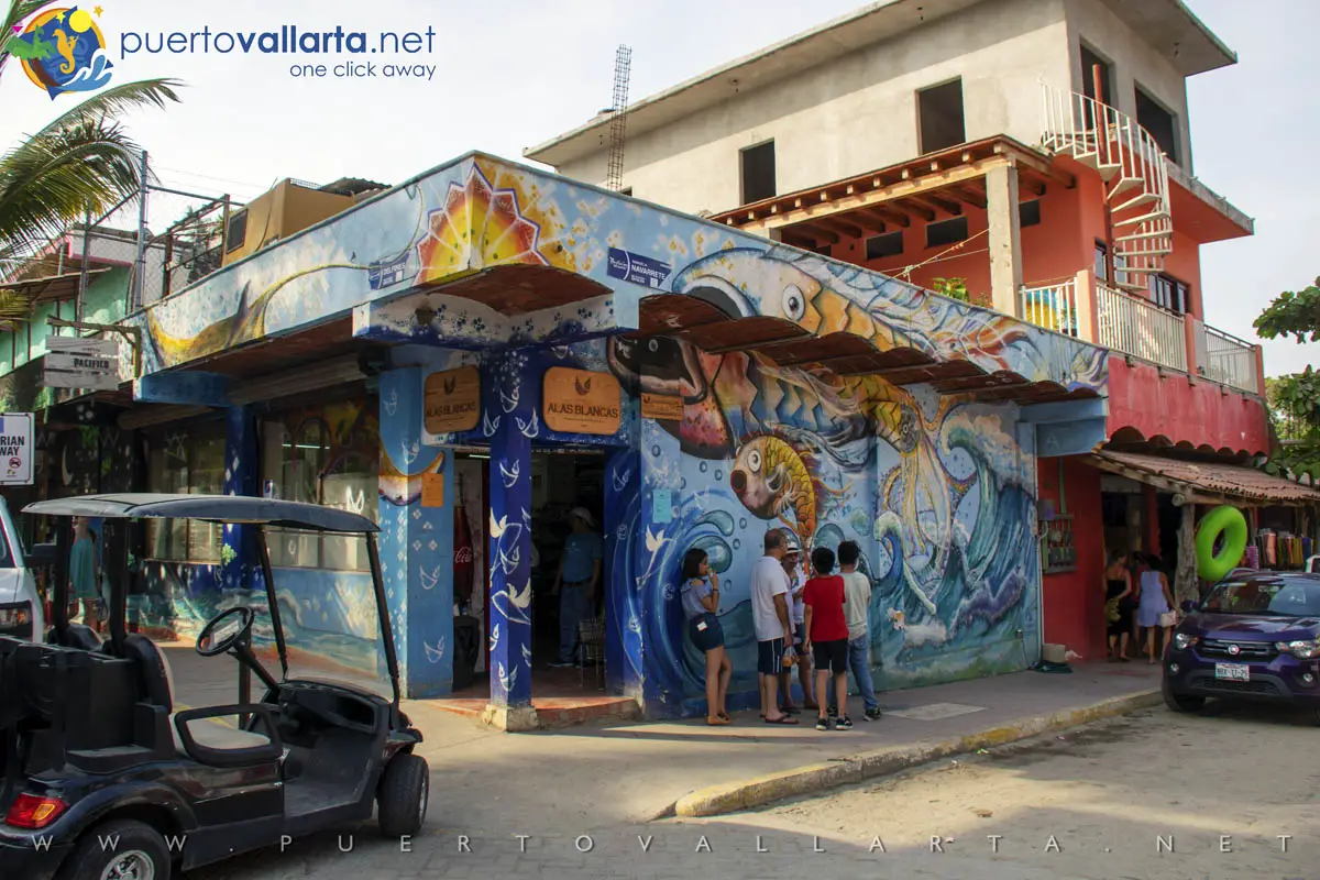 Downtown Sayulita Nayarit Mexico (Alas Blancas)