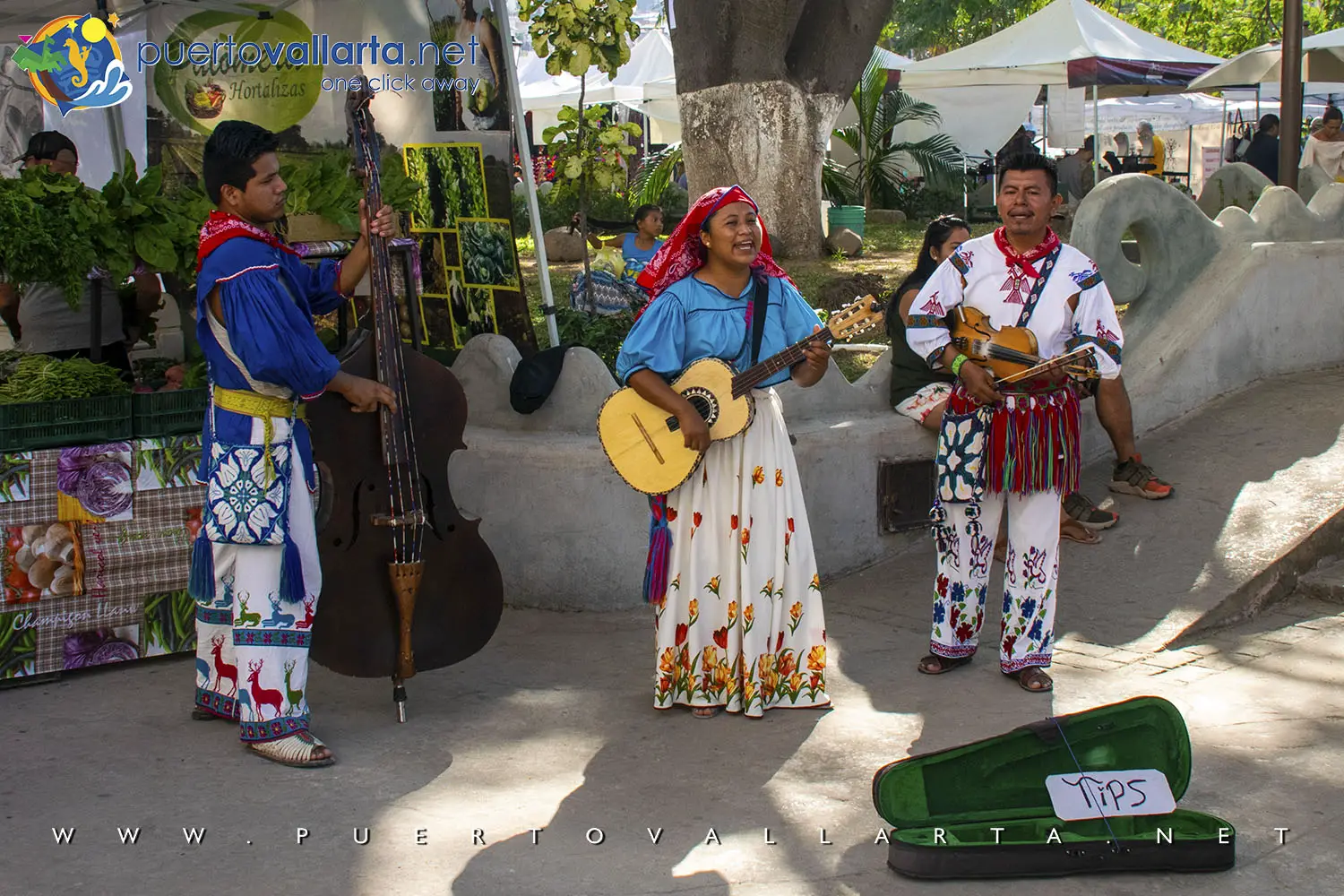 Wixárika Musicians Old Town Farmers Market Romantic Zone Puerto Vallarta