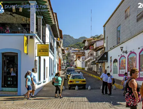 Información general de Puerto Vallarta