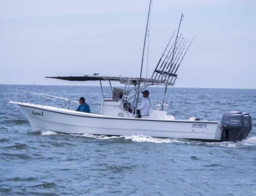 Lancha de Pesca Lucky I 28′