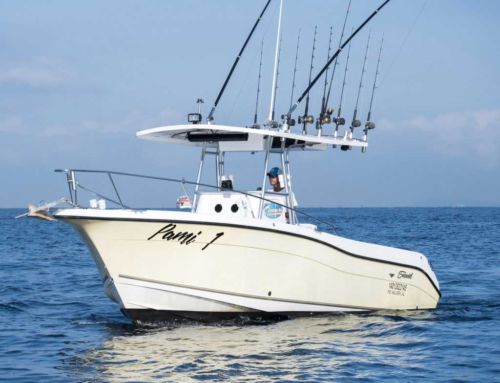 Fishing Pami I 27′