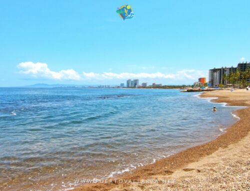 Three beaches with “Blue Flag” distinction in Puerto Vallarta