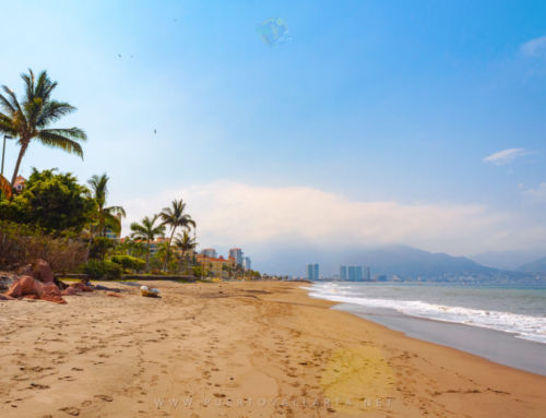 Playa El Salado, Marina Vallarta, Puerto Vallarta