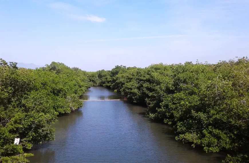 Access to El Salado Estuary reopens in Puerto Vallarta