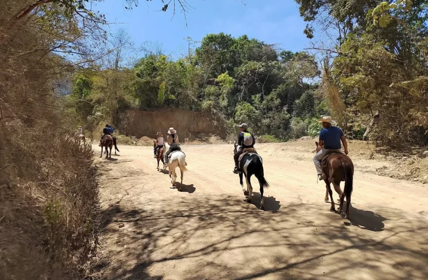 Aventura a Caballo y Tirolesa en El Edén