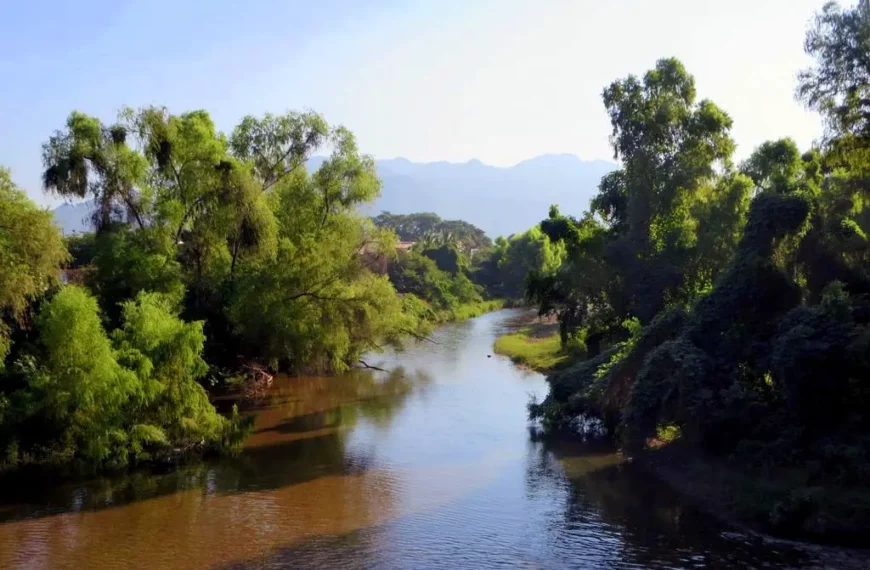 Citizen Scientists to Document Río Pitillal’s Biodiversity