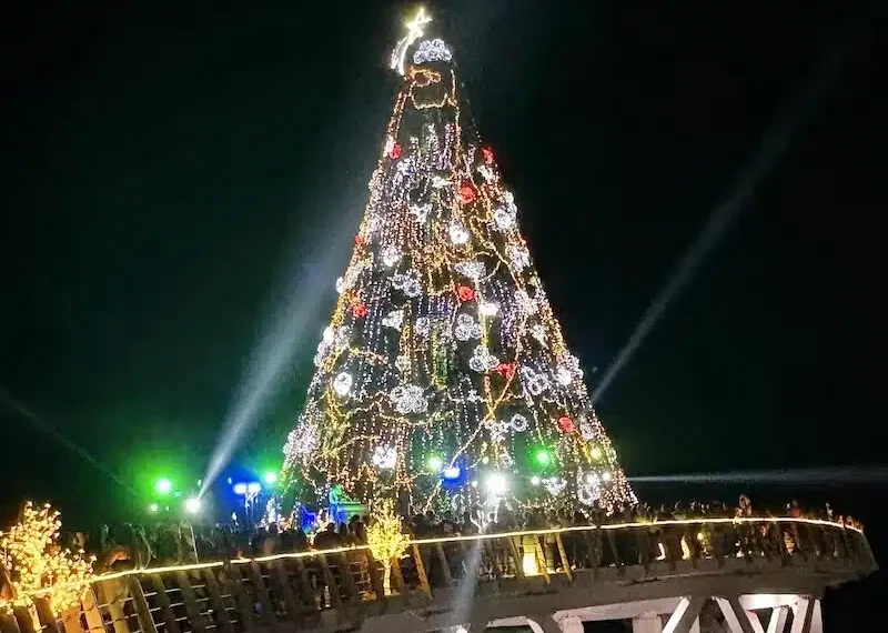 Mexico’s Tallest Christmas Tree Debuts in Puerto Vallarta