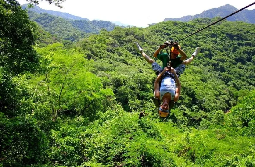 Canopy Extreme View