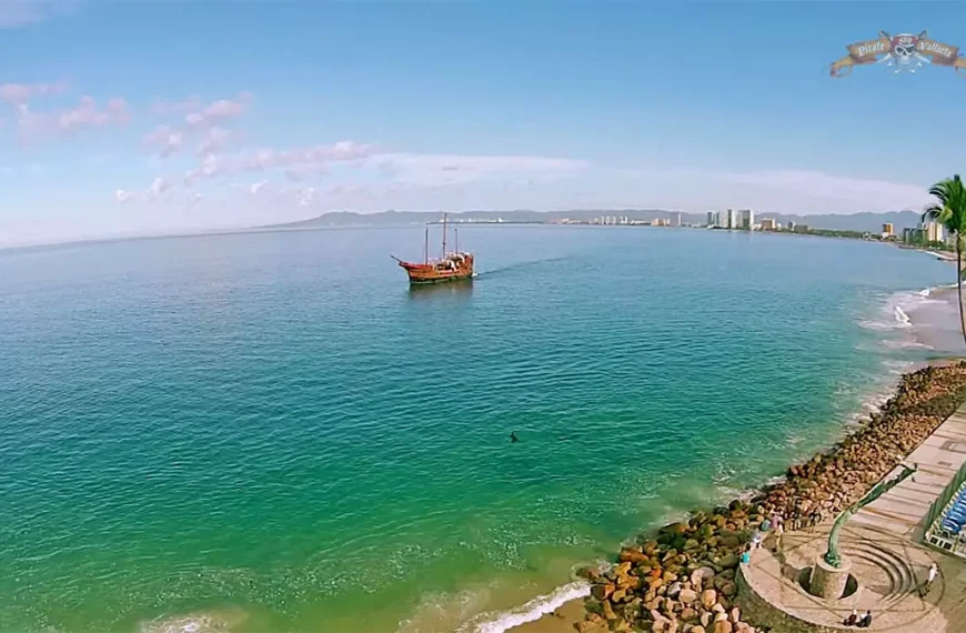 Las 10 Mejores Actividades para Niños en Puerto Vallarta
