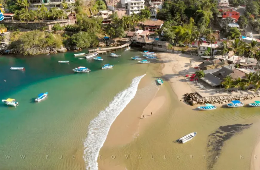 Which beaches in Jalisco are the cleanest this summer?