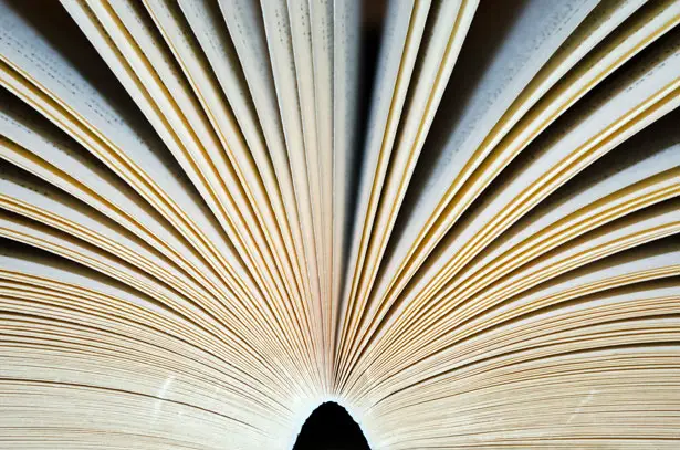 Puerto Vallarta’s Third Book Fair Begins on February 9