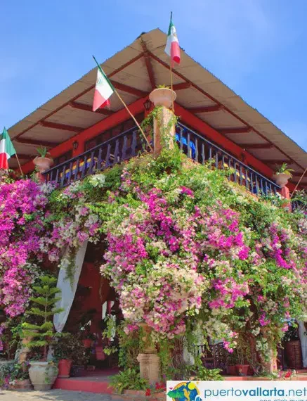 Vallarta Botanical Gardens, Gallery 2