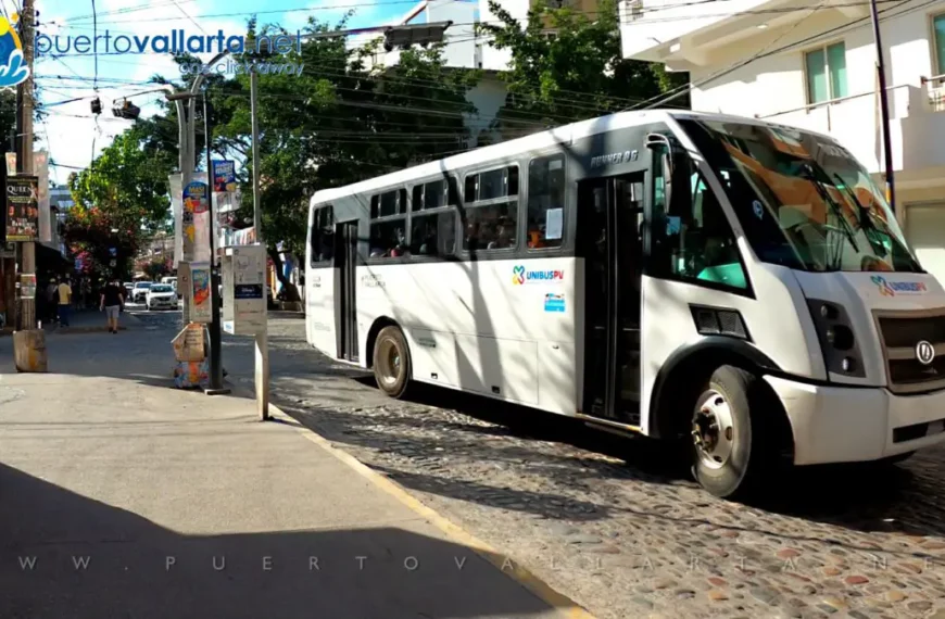 Puerto Vallarta’s Bus Fleet To Get Major Boost in April