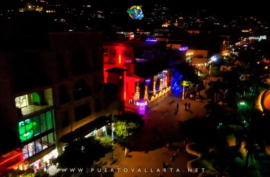 Puerto Vallarta 2020 Gallery (Part 2)